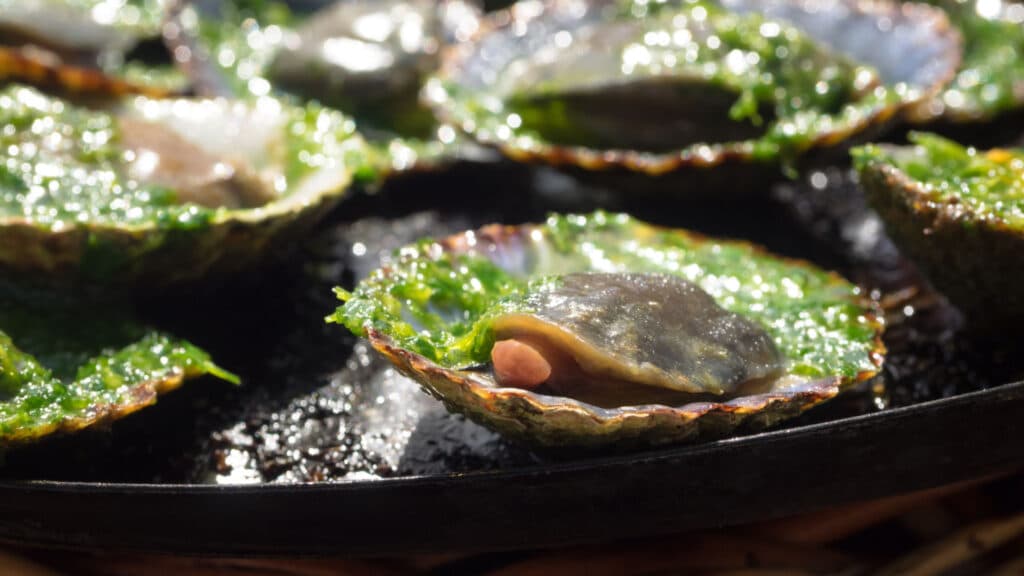 grilled limpets with green mojo, typical avocado in Lanzarote, Canary Island