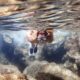 The best snorkelling spots in Lanzarote The best snorkelling spots in Lanzarote